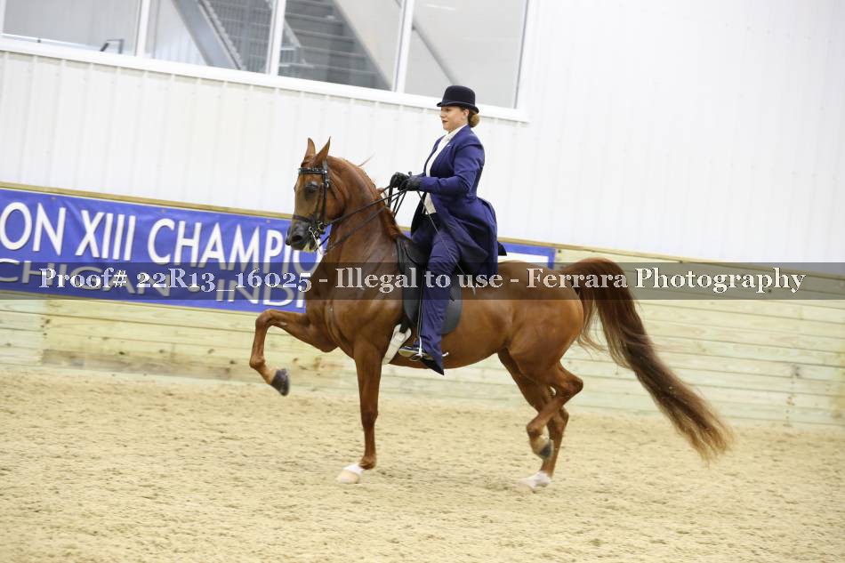 Proof 22R13_16025