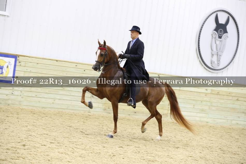 Proof 22R13_16026