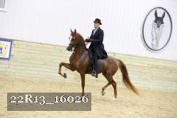 22R13_16026 proof