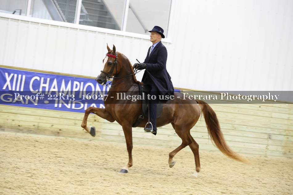 Proof 22R13_16027