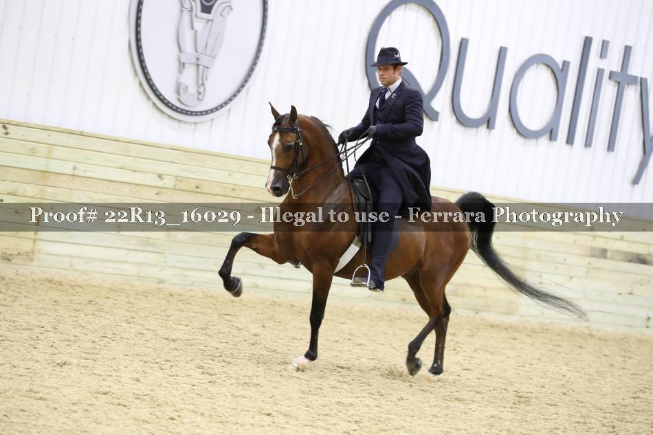 Proof 22R13_16029