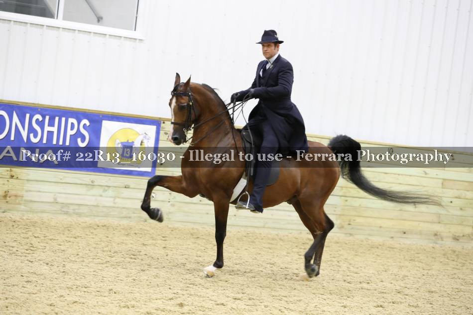 Proof 22R13_16030