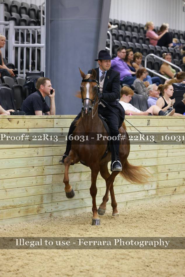 Proof 22R13_16031