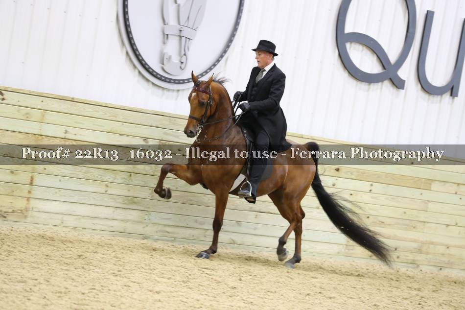 Proof 22R13_16032