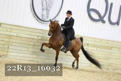 22R13_16032 proof