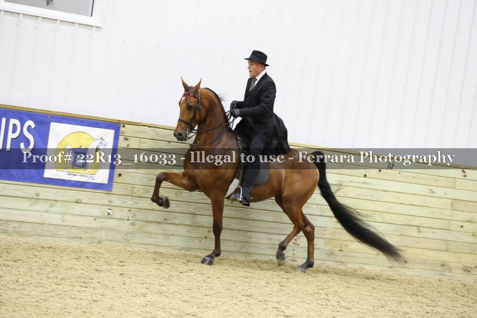 Proof 22R13_16033
