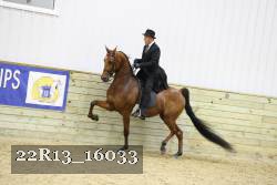 22R13_16033 proof
