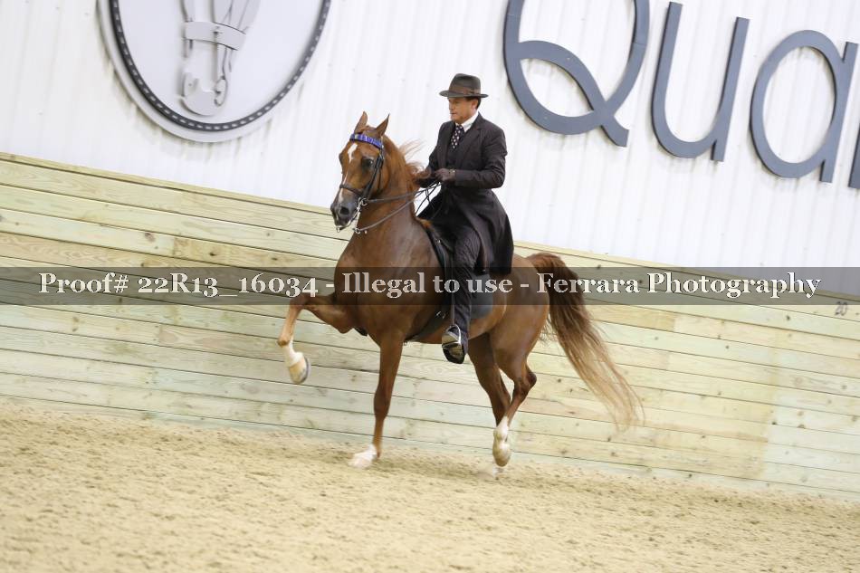 Proof 22R13_16034