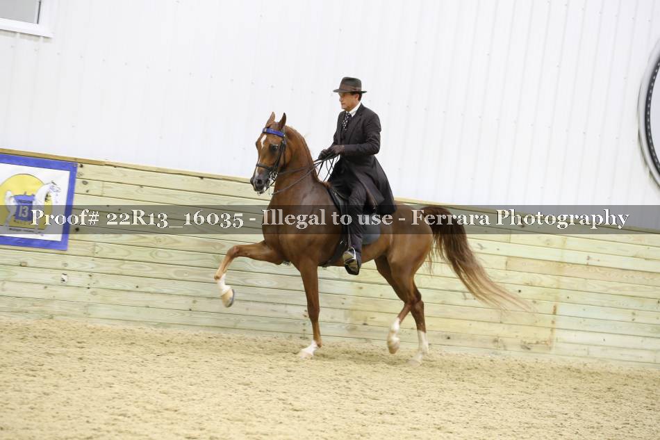 Proof 22R13_16035