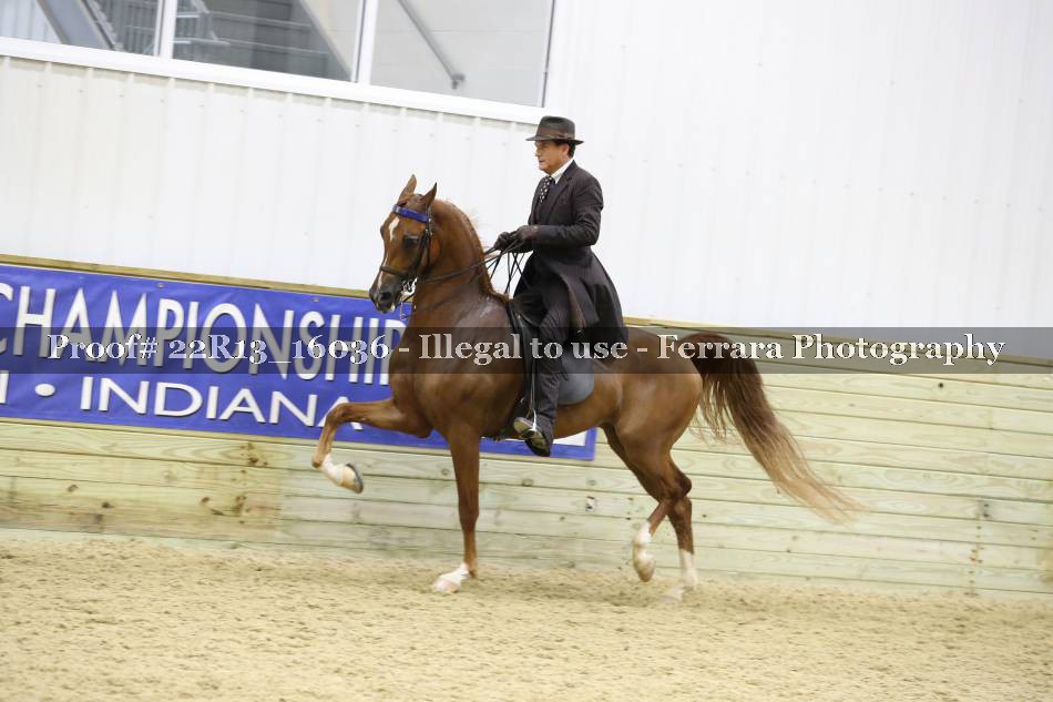 Proof 22R13_16036
