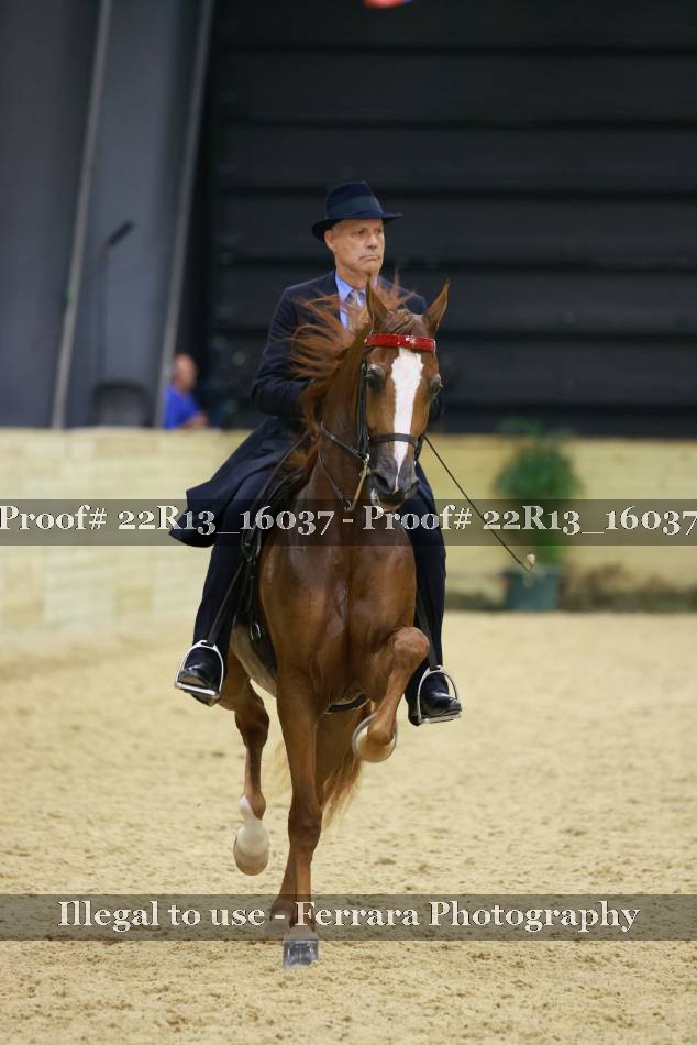 Proof 22R13_16037