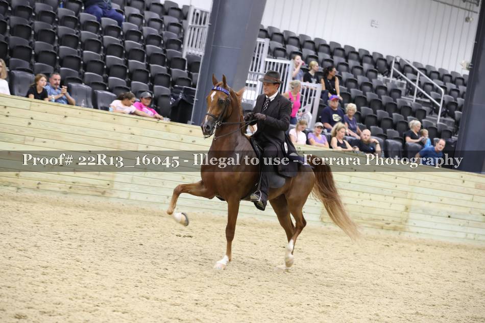 Proof 22R13_16045