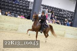22R13_16045 proof