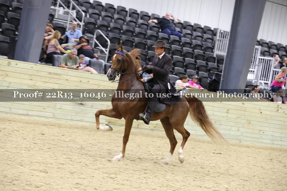 Proof 22R13_16046