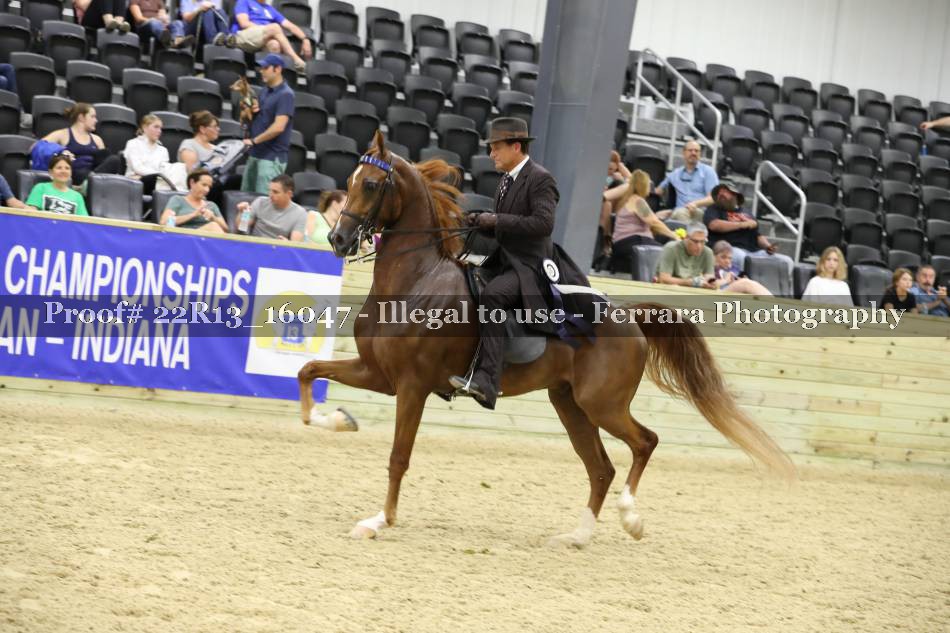 Proof 22R13_16047