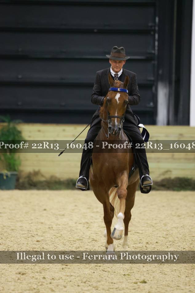 Proof 22R13_16048