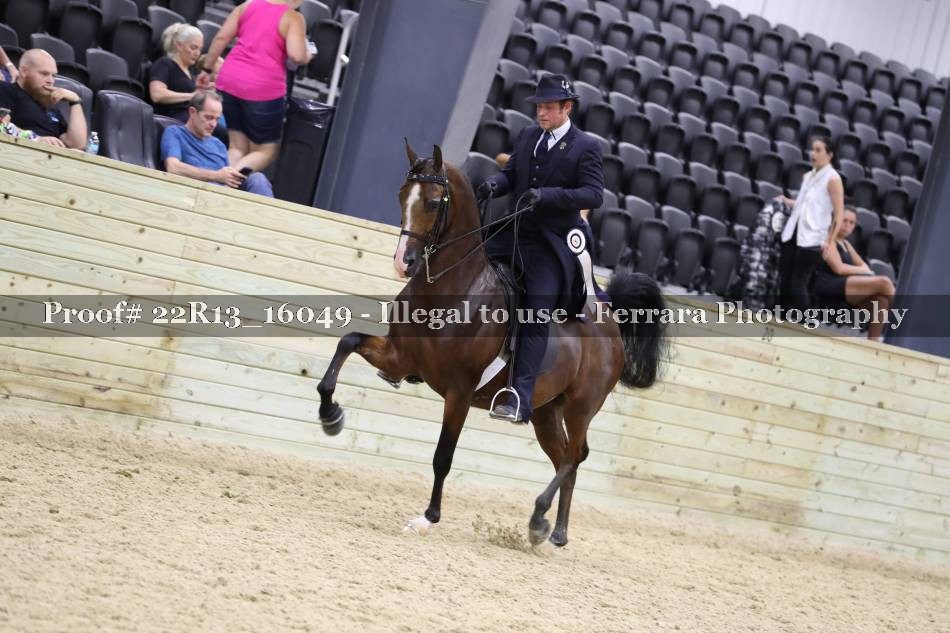 Proof 22R13_16049