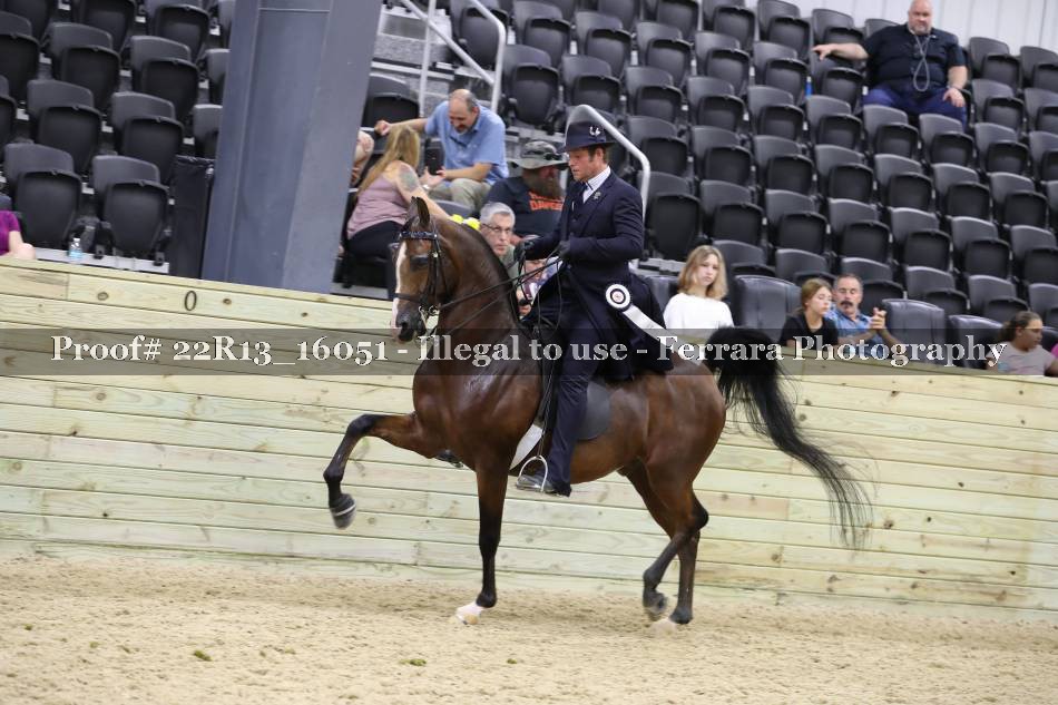 Proof 22R13_16051