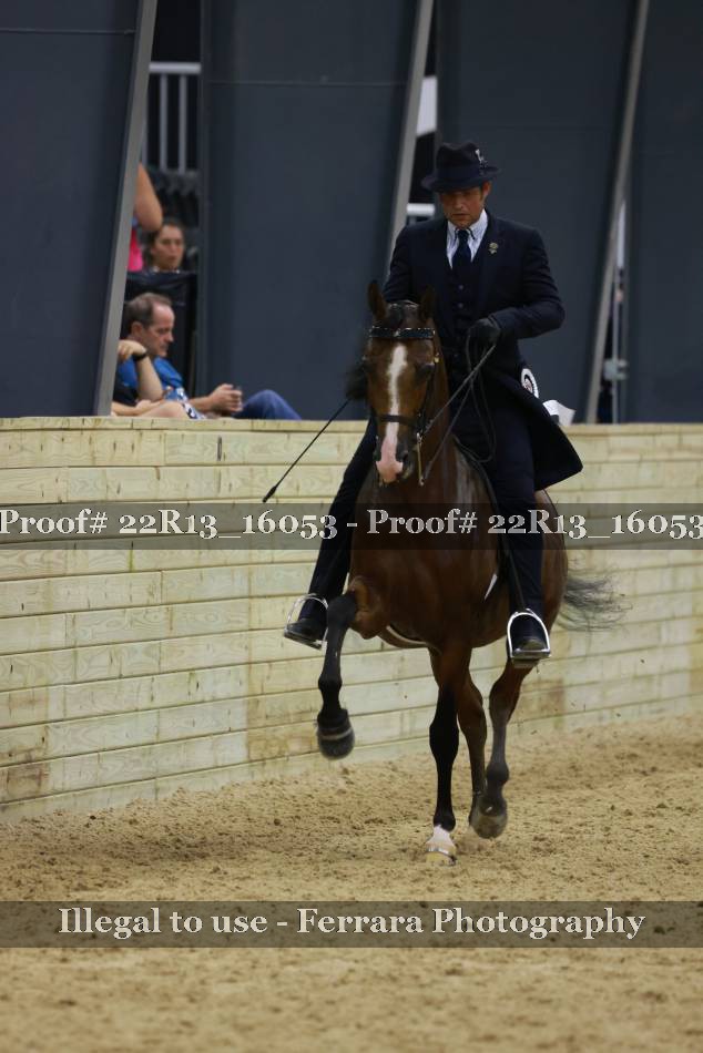 Proof 22R13_16053