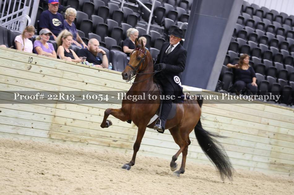 Proof 22R13_16054