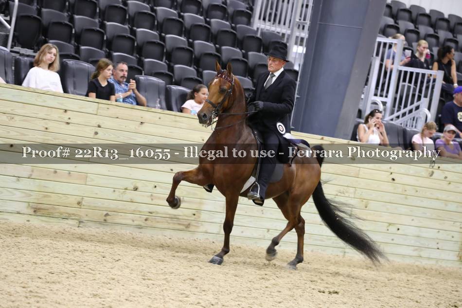 Proof 22R13_16055