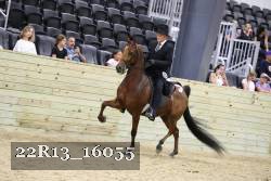 22R13_16055 proof
