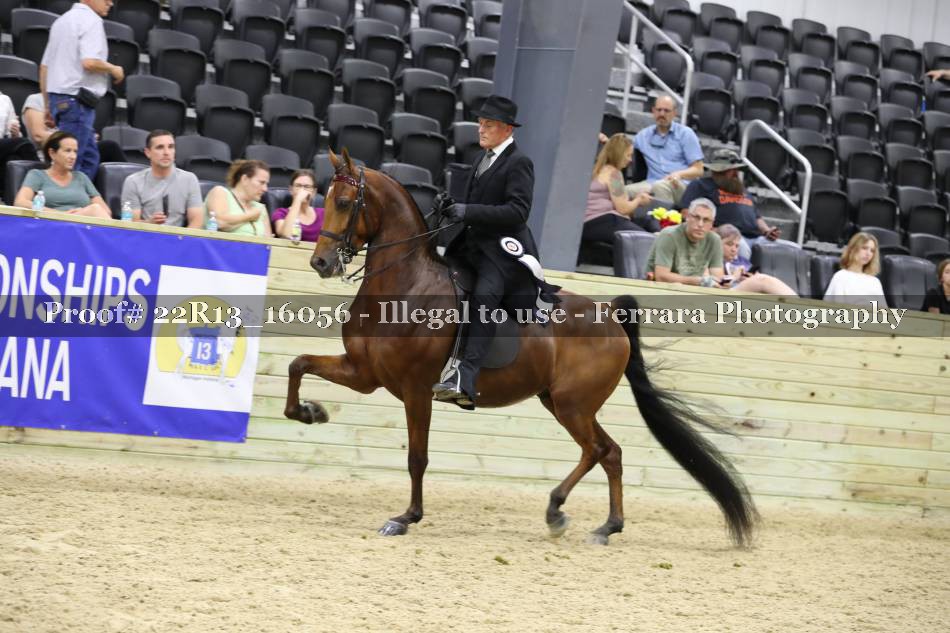 Proof 22R13_16056