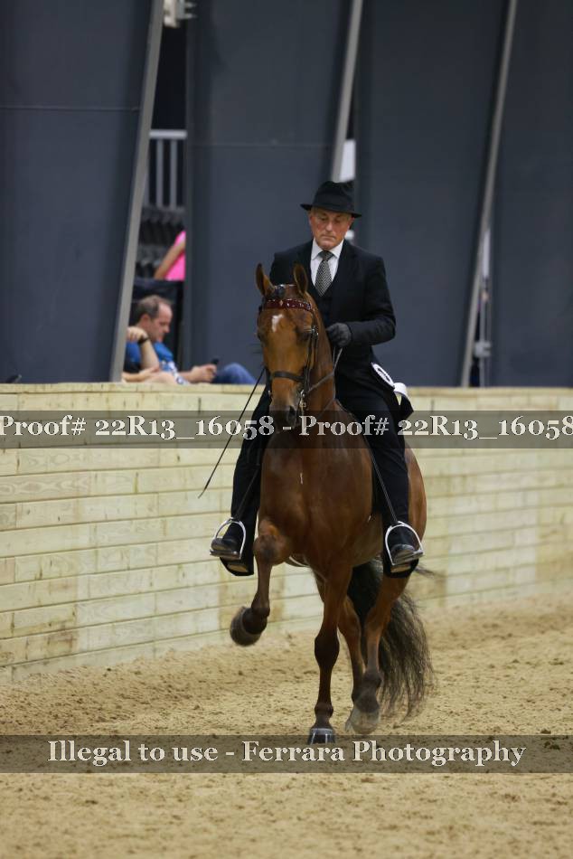 Proof 22R13_16058