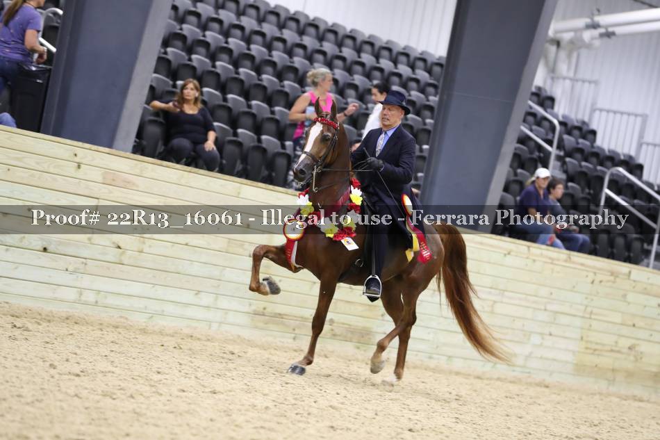 Proof 22R13_16061