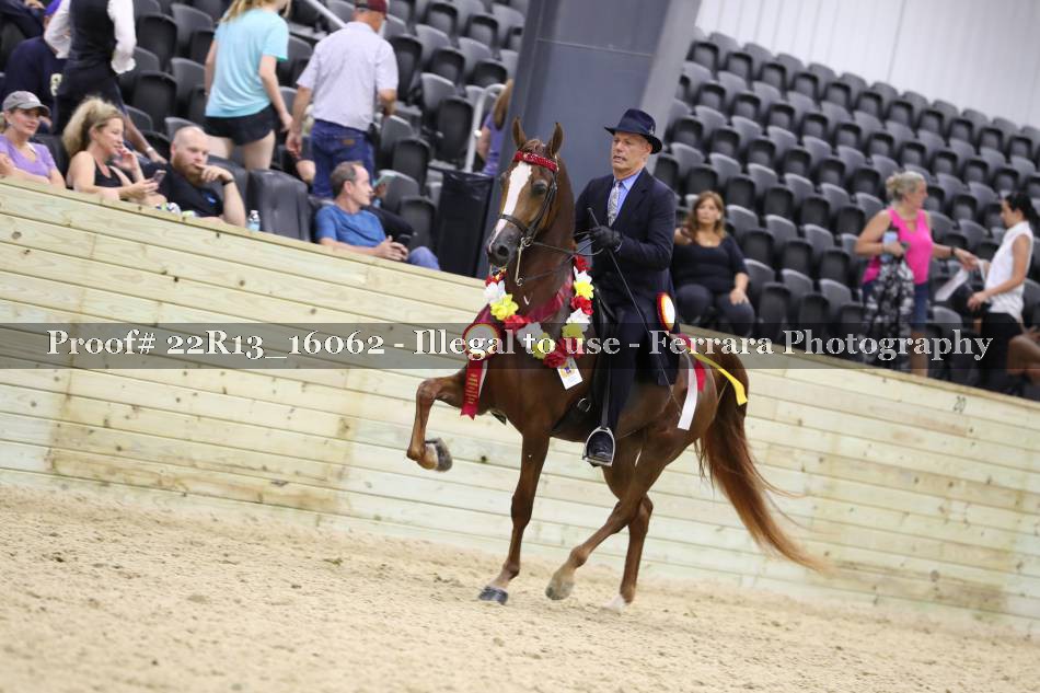 Proof 22R13_16062