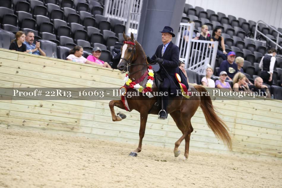 Proof 22R13_16063