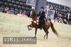 22R13_16063 proof
