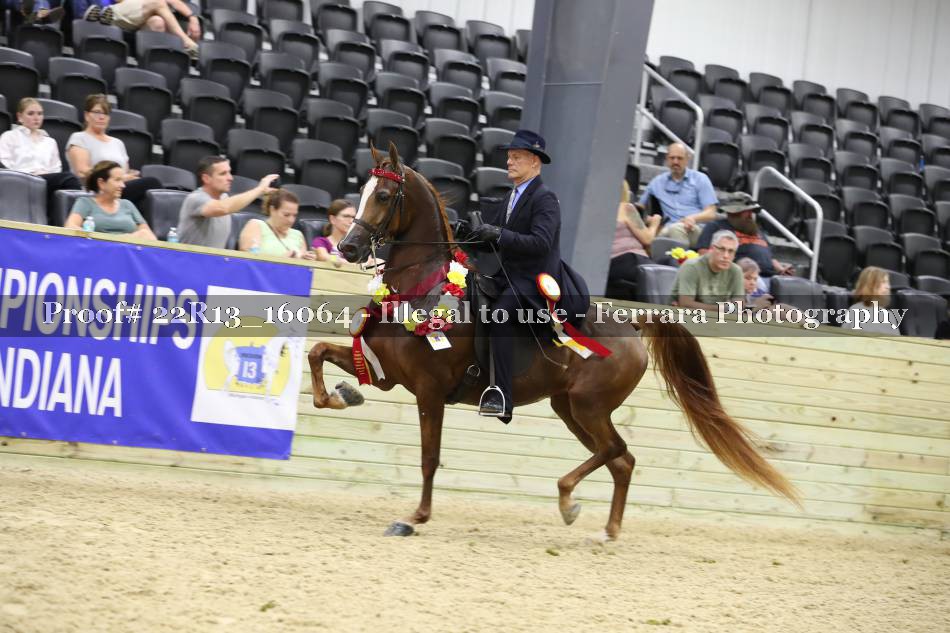 Proof 22R13_16064