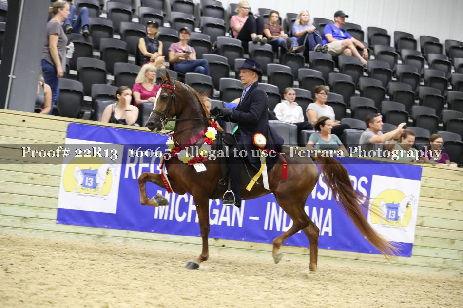 Proof 22R13_16065