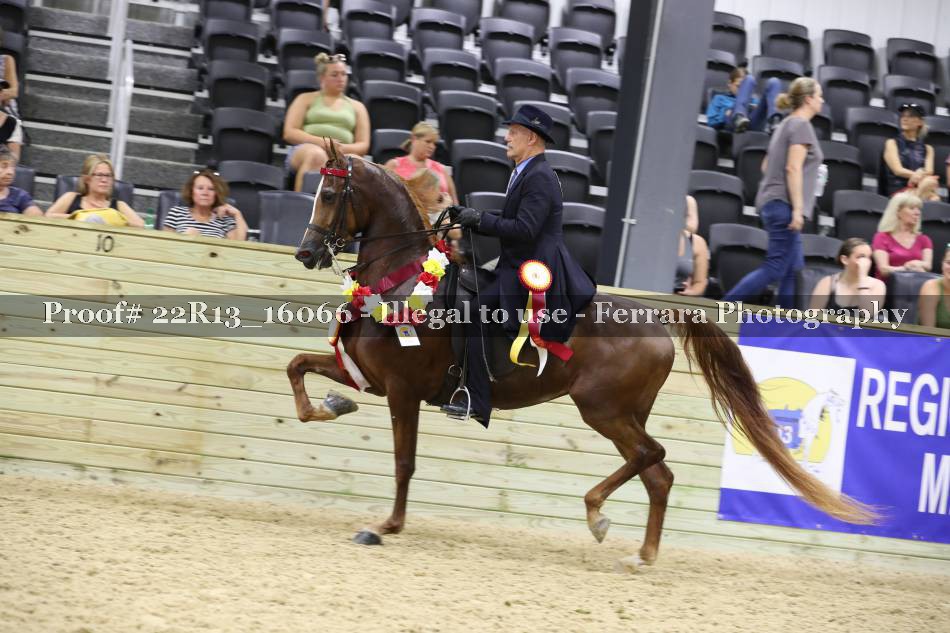 Proof 22R13_16066