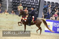 22R13_16066 proof