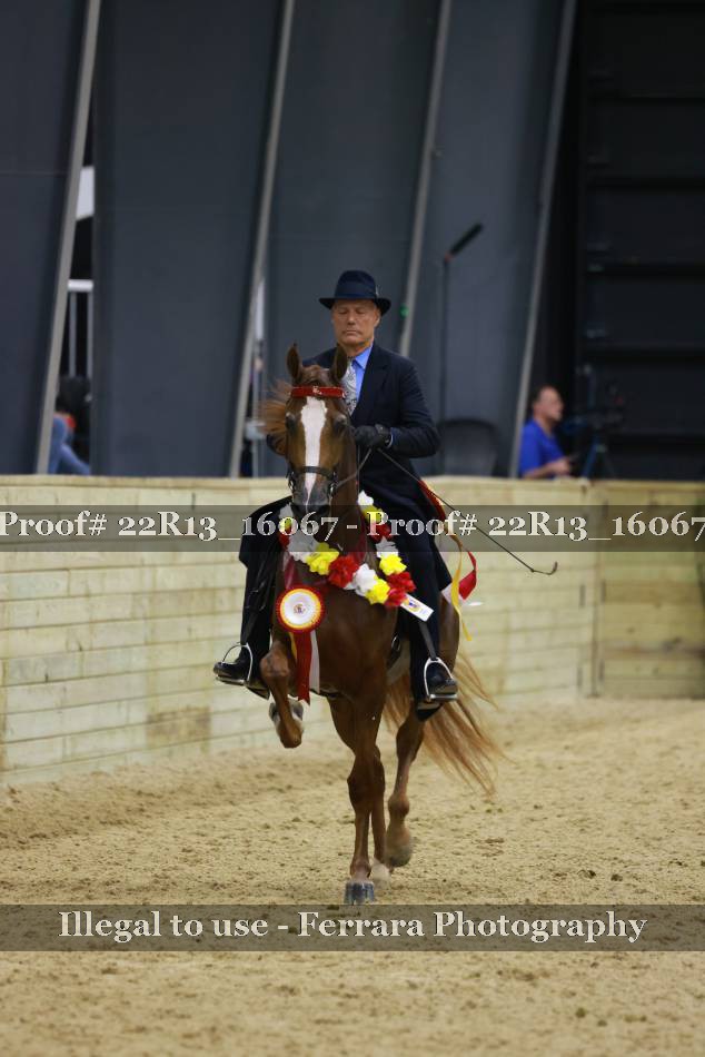 Proof 22R13_16067