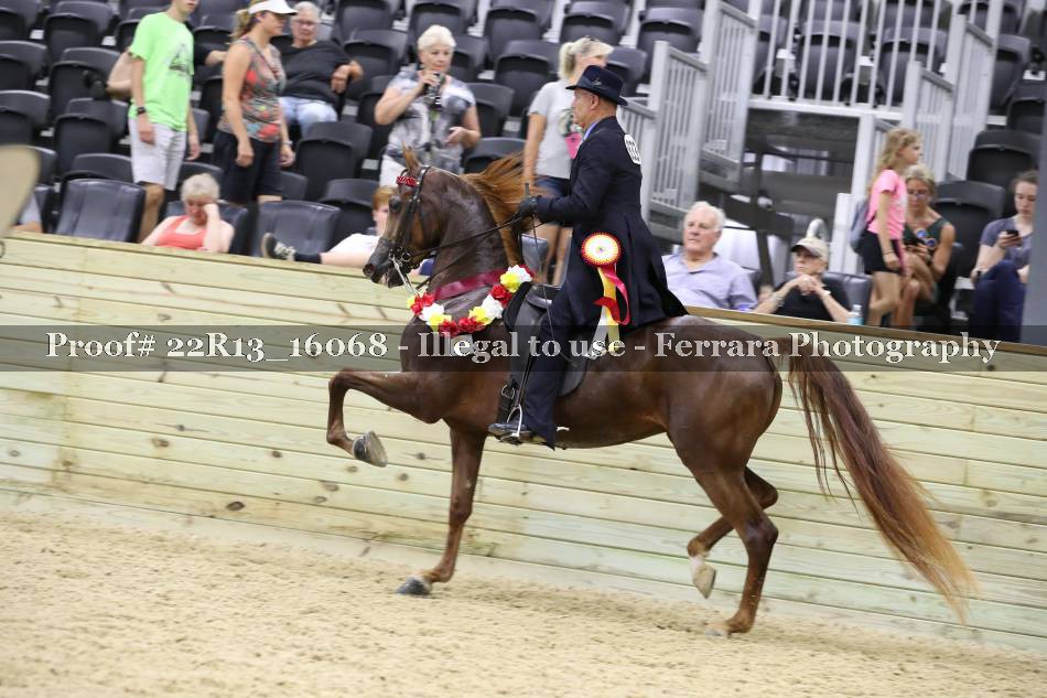 Proof 22R13_16068