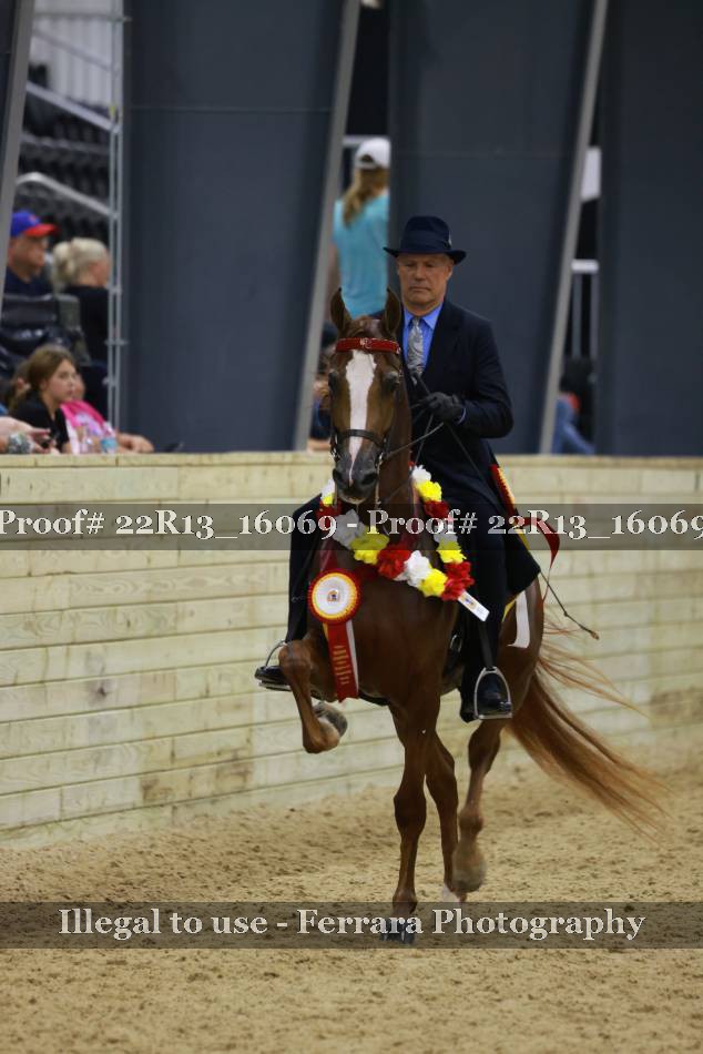 Proof 22R13_16069