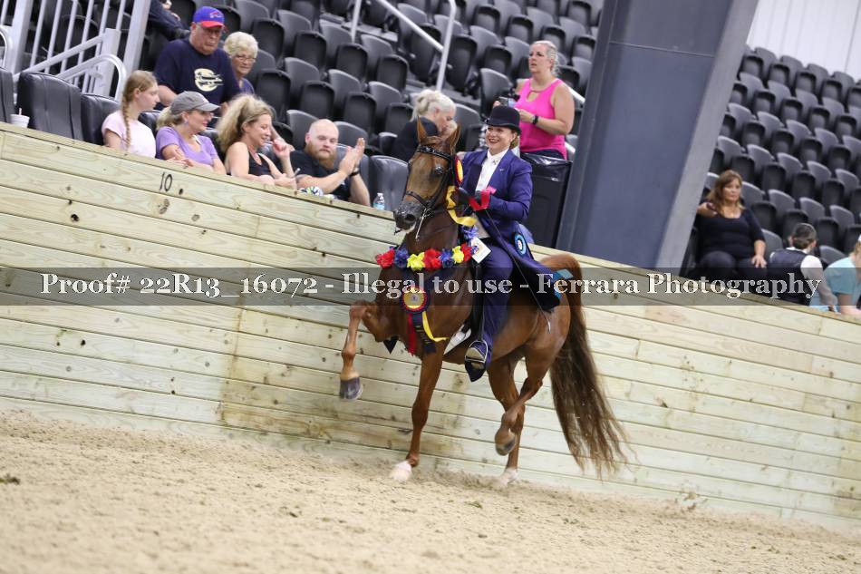 Proof 22R13_16072