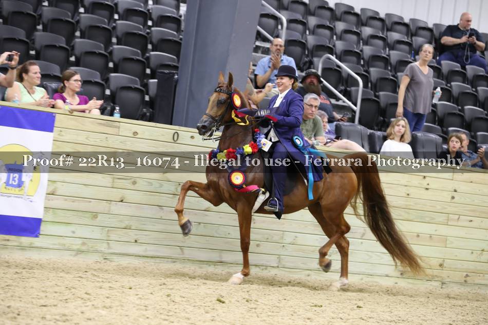 Proof 22R13_16074