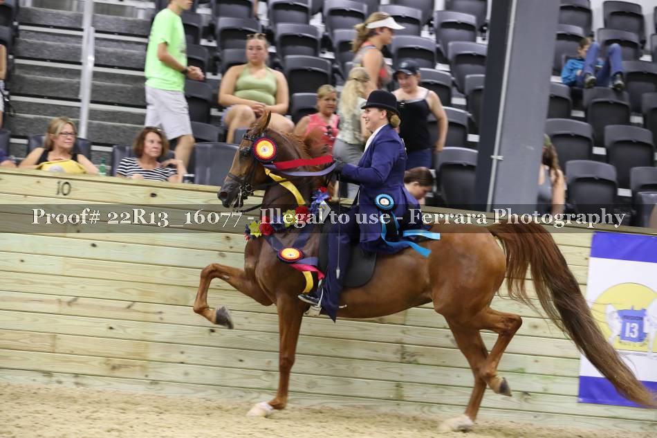 Proof 22R13_16077