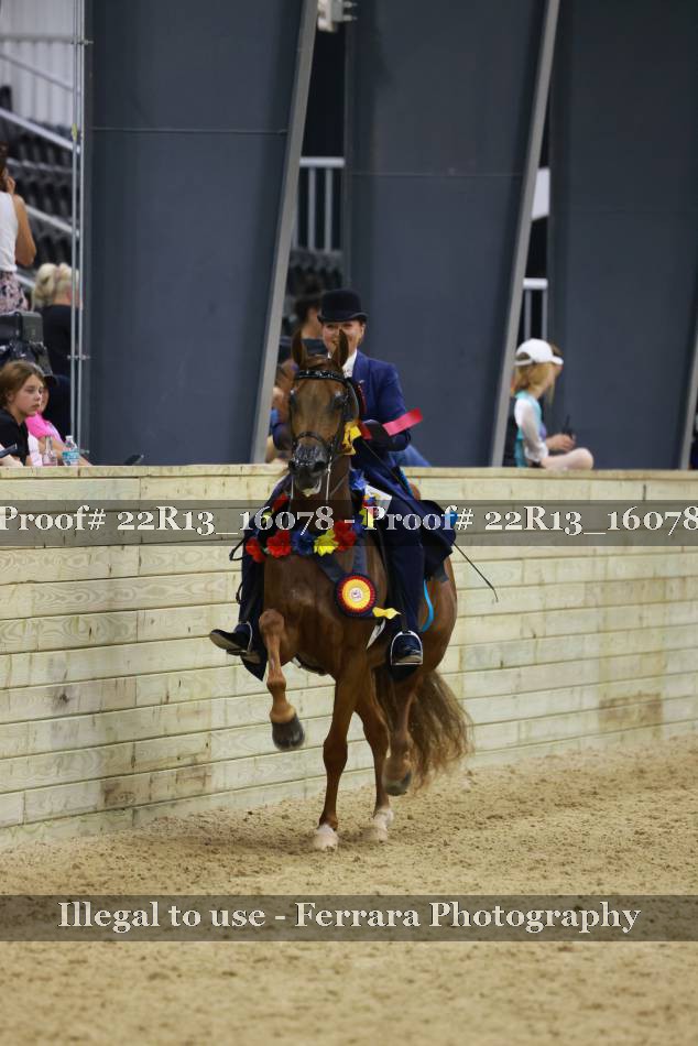 Proof 22R13_16078