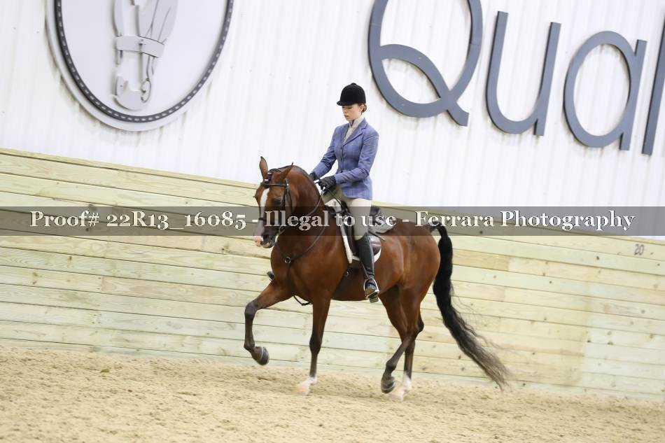 Proof 22R13_16085