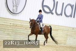 22R13_16085 proof