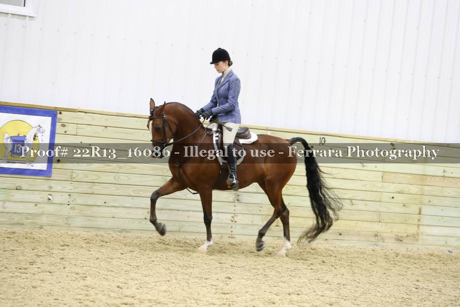 Proof 22R13_16086