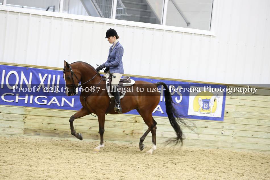 Proof 22R13_16087