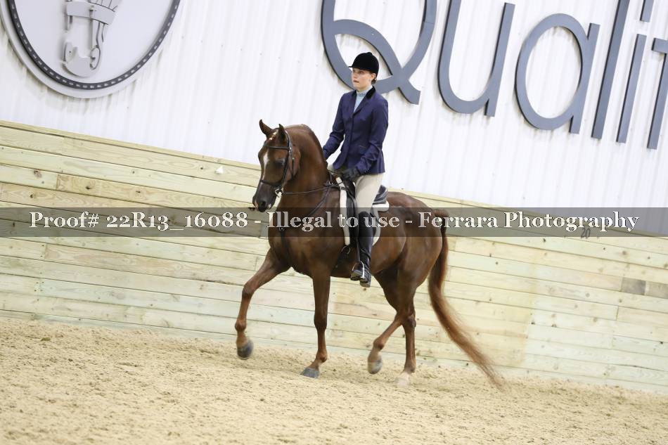 Proof 22R13_16088