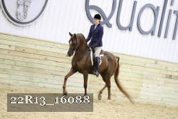 22R13_16088 proof