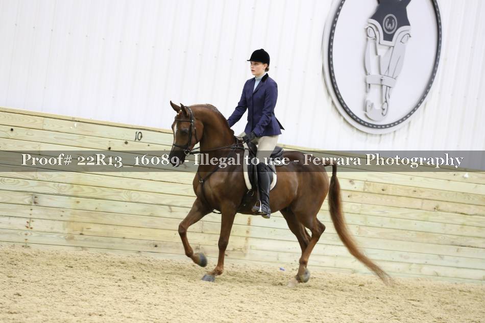 Proof 22R13_16089
